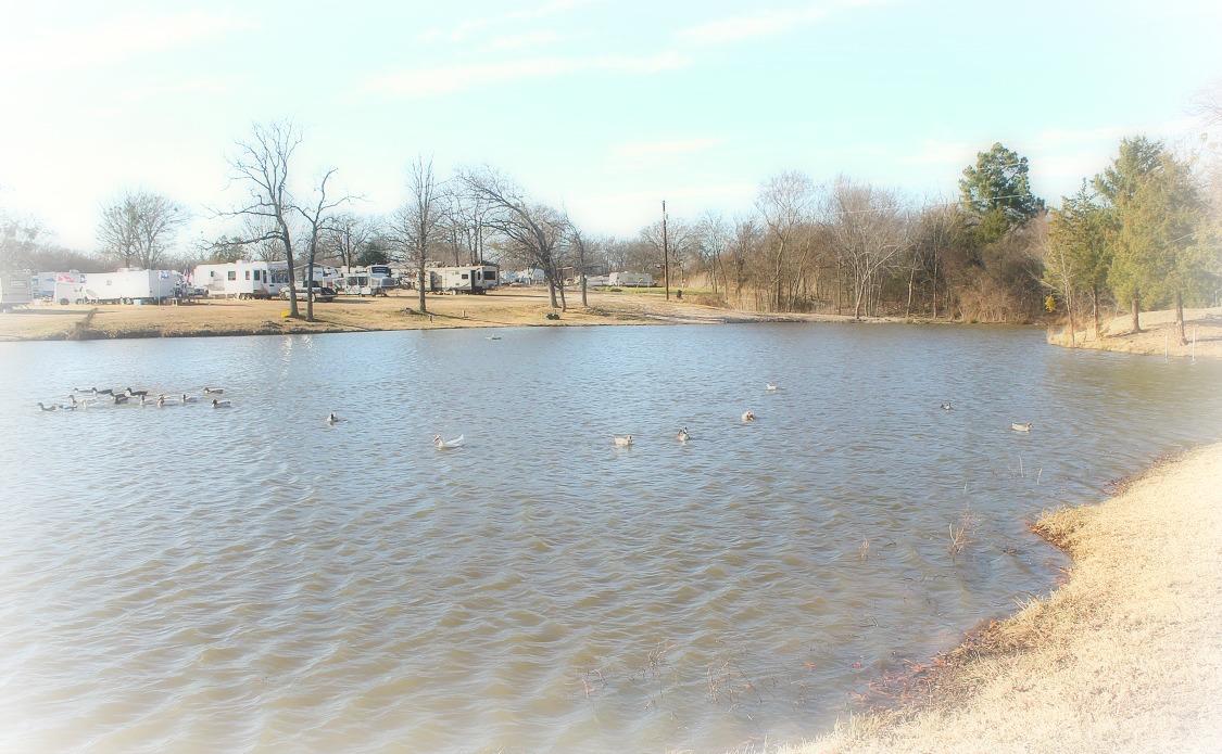 IMG_6664edit Shady Lake RV Park